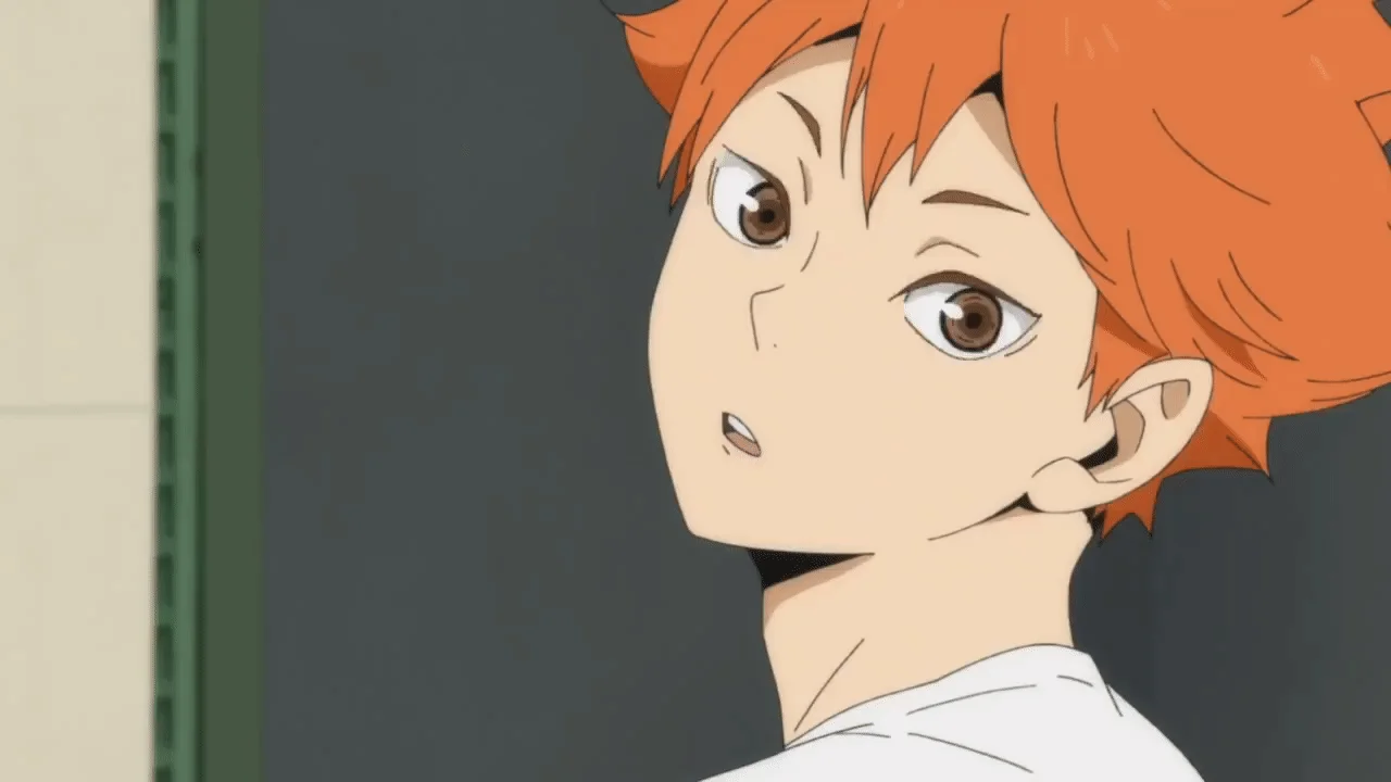 Reference image for Hinata Shoyo (from Haikyu!) Reference image for Hinata Shoyo (from Haikyu!)
