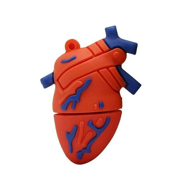 Body Parts Memory Stick — view 2 Body Parts Memory Stick — view 2