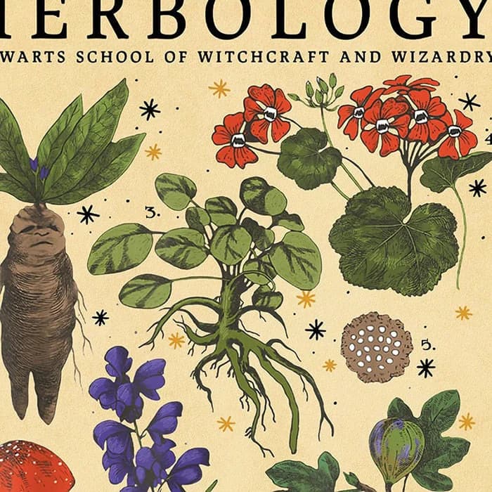 Herbology Vintage Poster — view 2 Herbology Vintage Poster — view 2