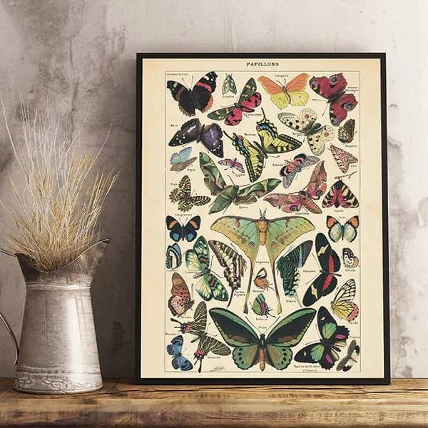 Butterfly Vintage Poster — view 2 Butterfly Vintage Poster — view 2
