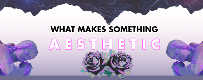 What Makes Something Aesthetic?