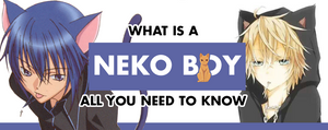 What is a Neko Boy: All You Need To Know