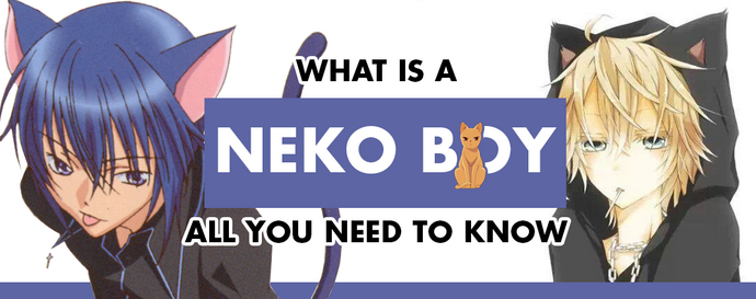 What is a Neko Boy: All You Need To Know