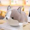 Cute Corgi Plush