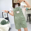 Kawaii Cat Overall Shorts