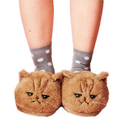 Kitten Slippers